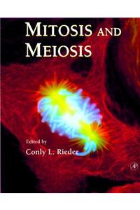Mitosis and Meiosis