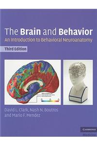 Brain and Behavior