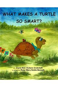 What Makes A Turtle So Smart?