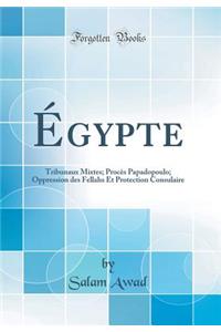 Ã?gypte: Tribunaux Mixtes; ProcÃ¨s Papadopoulo; Oppression Des Fellahs Et Protection Consulaire (Classic Reprint)