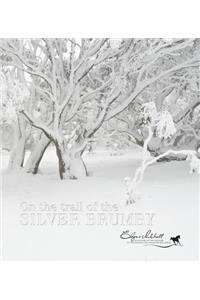 On the Trail of the Silver Brumby