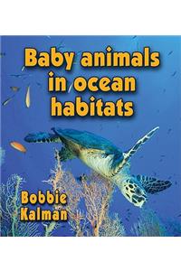 Baby Animals in Ocean Habitats