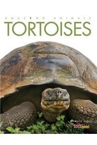 Amazing Animals: Tortoises