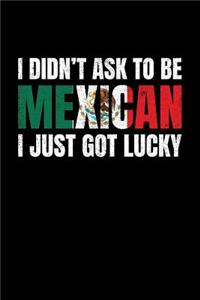 I Didn't Ask To Be A Mexican I Just Got Lucky