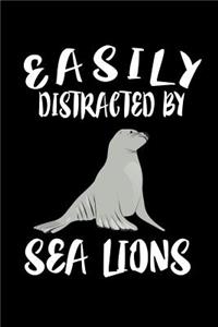Easily Distracted By Sea Lions