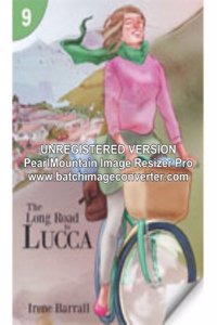Long Road to Lucca: Page Turners 9 (25-Pack)