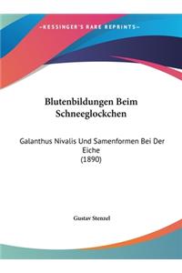 Blutenbildungen Beim Schneeglockchen