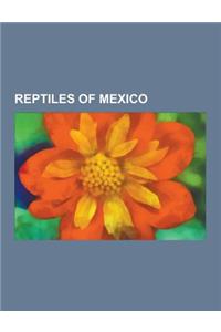 Reptiles of Mexico: Green Iguana, Loggerhead Sea Turtle, Boa Constrictor, Desert Tortoise, Olive Ridley Sea Turtle, Gila Monster, American