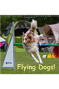 Flying Dogs! 2017