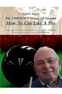 Snooker Secrets: How to Cue Like A Pro