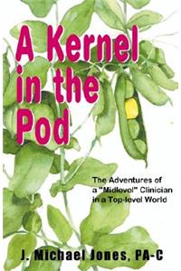 Kernel in the Pod