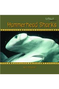 Hammerhead Sharks