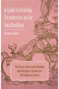 Guide to Growing Strawberries on the Smallholding - Two Classic Articles on the Planting and Cultivation of Strawberries (Self-Sufficiency Series)