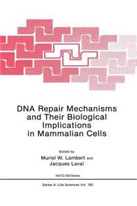 DNA Repair Mechanisms and Their Biological Implications in Mammalian Cells