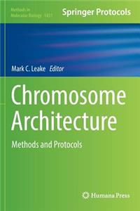 Chromosome Architecture