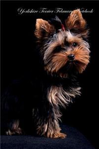 Yorkshire Terrier February Notebook Yorkshire Terrier Record, Log, Diary, Special Memories, To Do List, Academic Notepad, Scrapbook & More