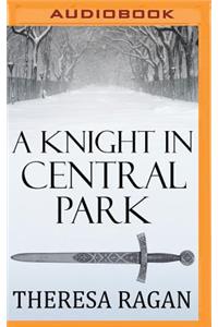 Knight in Central Park