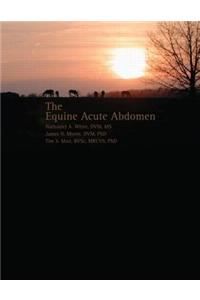 Equine Acute Abdomen