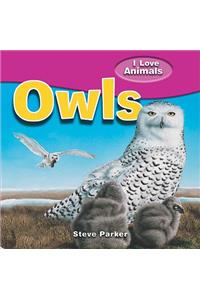 Owls