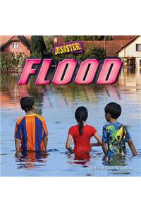 Flood