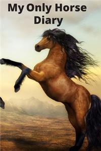 My only horse diary