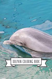 Dolphin Coloring Book