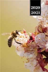 Bee Insects Beekeeping Beekeeper Week Planner Weekly Organizer Calendar 2020 / 2021 - Cherry Blossom