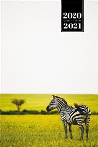 Zabra Safari Africa Savannah Week Planner Weekly Organizer Calendar 2020 / 2021 - Flower Field