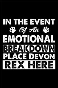 In The Event Emotional Breakdown Place Devon Rex Here