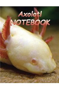 Axolotl NOTEBOOK