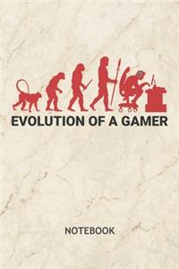 Evolution of a Gamer