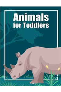 Animals for Toddlers