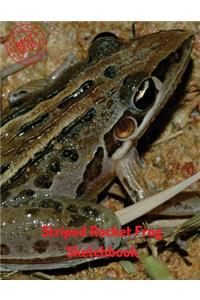 Striped Rocket Frog Sketchbook