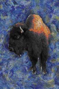 Bison