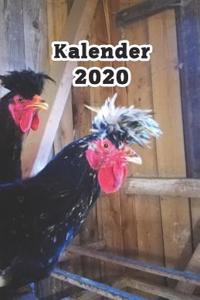 Kalender 2020: Hühner/Eier Kalender/Landwirt/Hobbyzüchter/Legeaufzeichnung/Eier Legeleistung