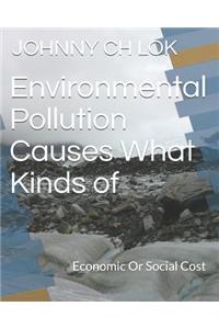 Environmental Pollution Causes What Kinds of