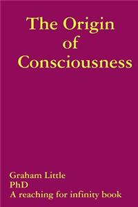 Origin of Consciousness