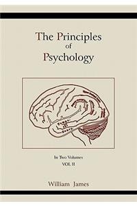 Principles of Psychology (Vol 2)