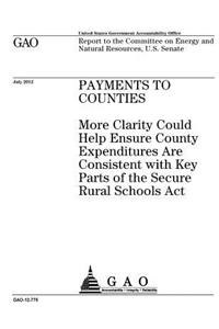 Payments to counties