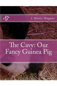 Cavy: Our Fancy Guinea Pig