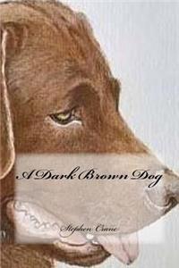 Dark Brown Dog