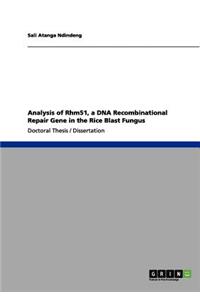 Analysis of Rhm51, a DNA Recombinational Repair Gene in the Rice Blast Fungus