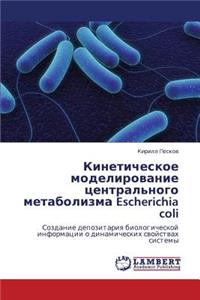 Kineticheskoe Modelirovanie Tsentral'nogo Metabolizma Escherichia Coli