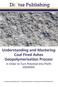 Understanding and Mastering Coal Fired Ashes Geopolymerisation Process