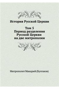 История Русской Церкви. Том 5. Период разде&