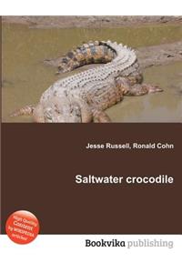 Saltwater Crocodile