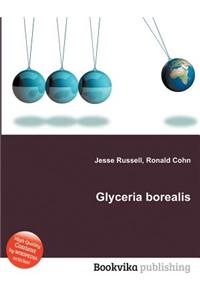 Glyceria Borealis