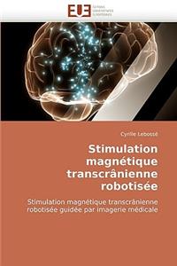 Stimulation Magnétique Transcrânienne Robotisée