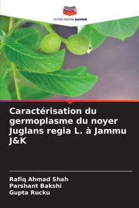 Caractérisation du germoplasme du noyer Juglans regia L. à Jammu J&K