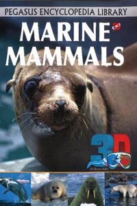 3D - Marine Mammals